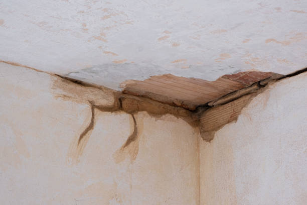 Best Commercial water damage restoration  in North Alamo, TX