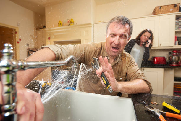 Best Flooded house restoration  in North Alamo, TX